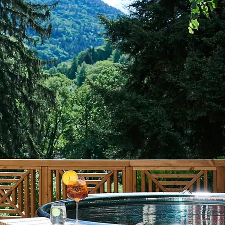 Du Parc - Sources D'equilibre Hôtel&spa 4* Allevard